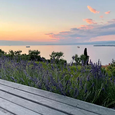 The View Koper