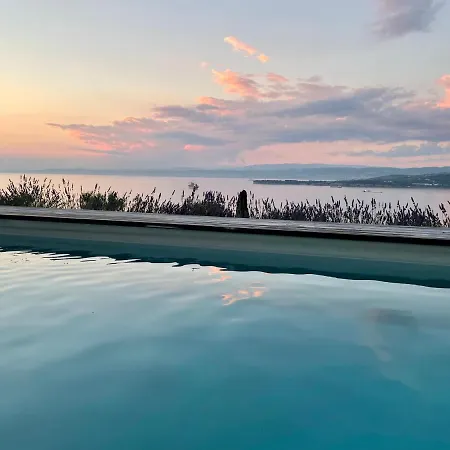 The View *